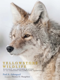 Imagen de portada: Yellowstone Wildlife 9781607322283