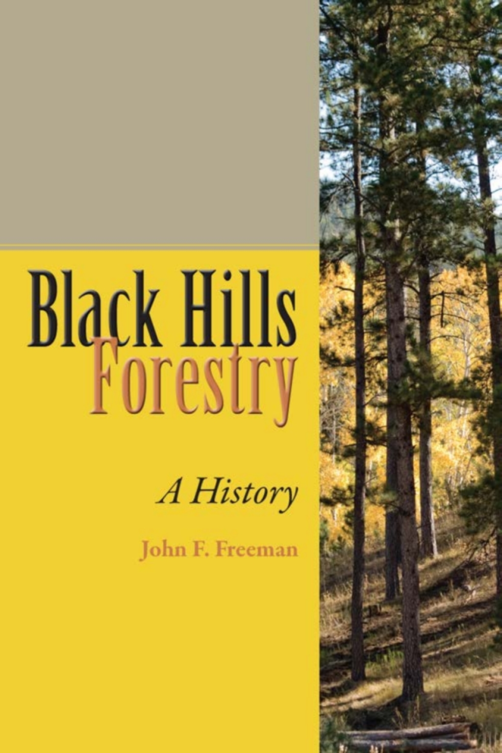 Black Hills Forestry A History