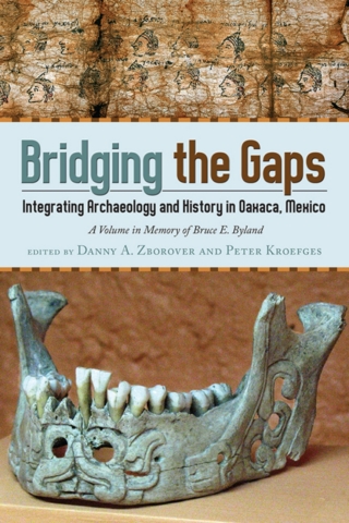 Imagen de portada: Bridging the Gaps 9781607323280