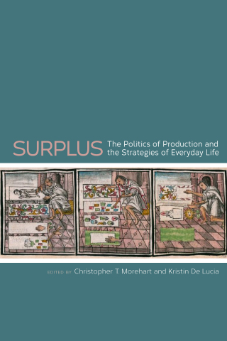 Cover image: Surplus 9781607323716