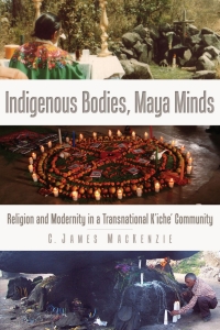 Imagen de portada: Indigenous Bodies, Maya Minds 9781607323938