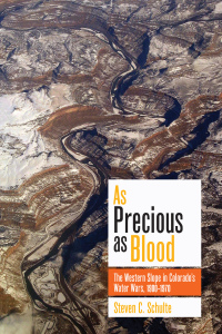 Cover image: As Precious as Blood 9781646420285