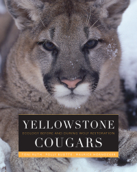Imagen de portada: Yellowstone Cougars 9781607328285