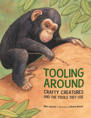 Cover image: Tooling Around 9781580895644
