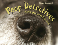 Cover image: Poop Detectives 9781580896504