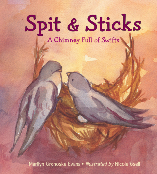 Cover image: Spit & Sticks 9781580895880