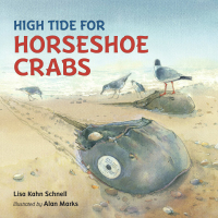 Cover image: High Tide for Horseshoe Crabs 9781580896047