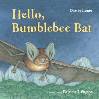 Cover image: Hello, Bumblebee Bat 9781580895262