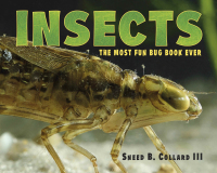 Cover image: Insects 9781580896429