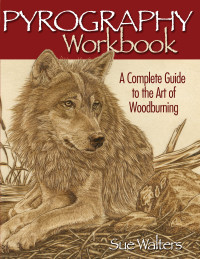 Cover image: Pyrography Workbook 9781565232587