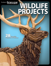 Imagen de portada: Wildlife Projects 9781565235021