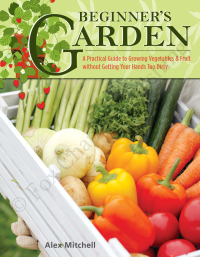 Cover image: Beginner's Garden 9781504800983