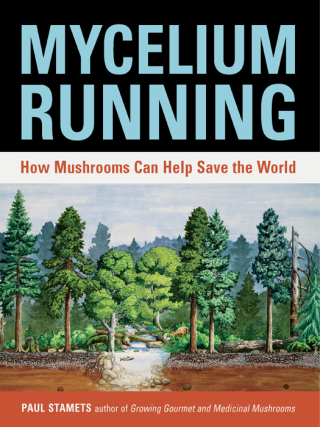 Cover image: Mycelium Running 9781580085793