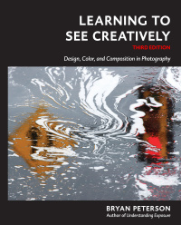 Cover image: Learning to See Creatively 3rd edition 9781607748274