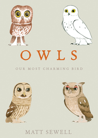 Cover image: Owls 9781607748793