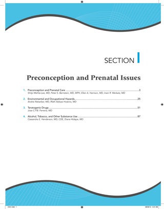 Cover image: Obstetric Medicine, 6e 6th edition 9781607950981