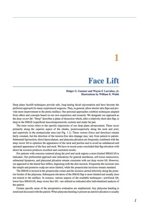 Imagen de portada: The Art and Craft of Facial Rejuvenation 9781607951872