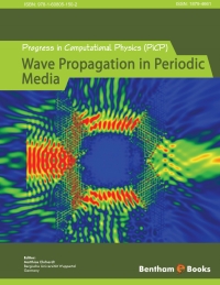 Titelbild: Progress in Computational Physics (PiCP) Volume 1: Wave Propagation in Periodic Media 1st edition 9781608053834