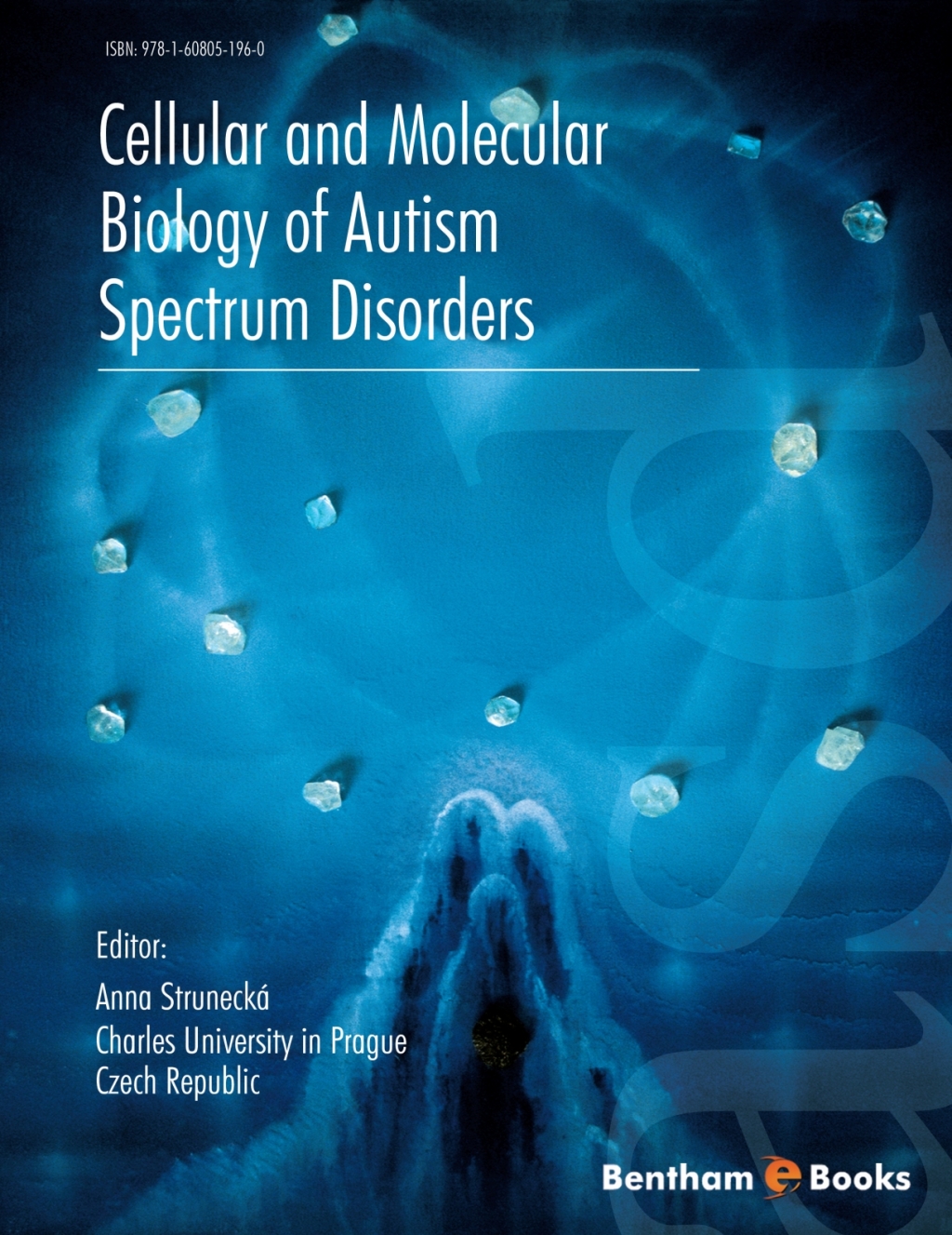 Cellular and Molecular Biology of Autism Spectrum Disorders 1st Edition