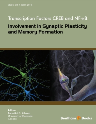 Cover image: Transcription Factors CREB and NF-κB: Involvement in Synaptic Plasticity and Memory Formation 1st edition 9781608054183