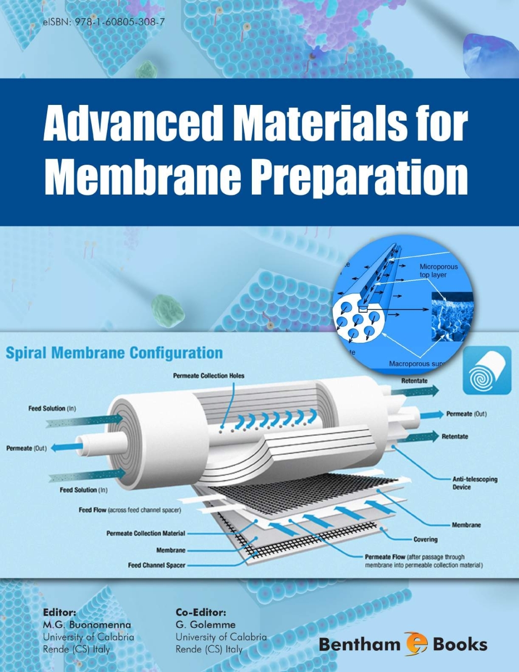 Advanced Materials for Membrane Preparation 1st Edition