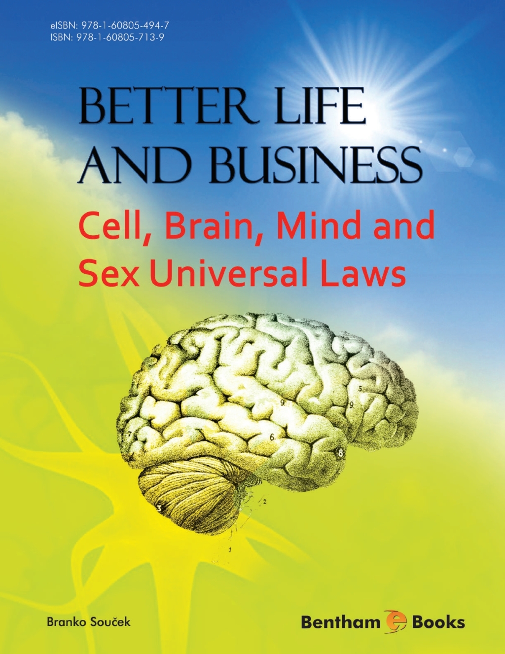 Better Life and Business: Cell, Brain, Mind and Sex Universal Laws 1st Edition