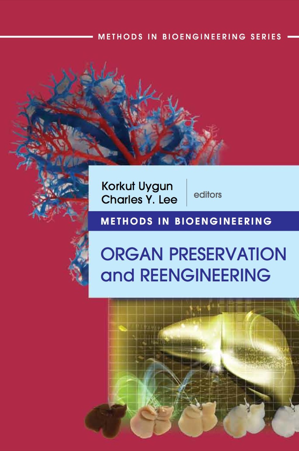 Methods in Bioengineering: Organ Preservation and Reengineering