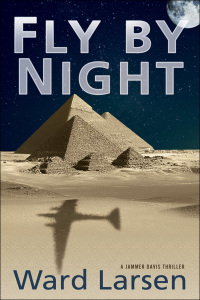 Cover image: Fly by Night 1st edition 9781608090297