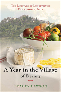 Imagen de portada: A Year in the Village of Eternity 1st edition 9781596915022
