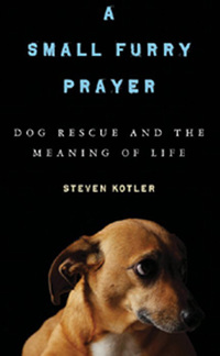 Cover image: A Small Furry Prayer 1st edition 9781608193035