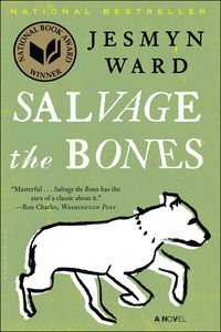 Cover image: Salvage the Bones 1st edition 9781608196265