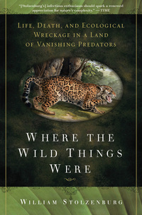 صورة الغلاف: Where the Wild Things Were 1st edition 9781596916241
