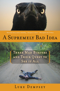 Omslagafbeelding: A Supremely Bad Idea 1st edition 9781596916340