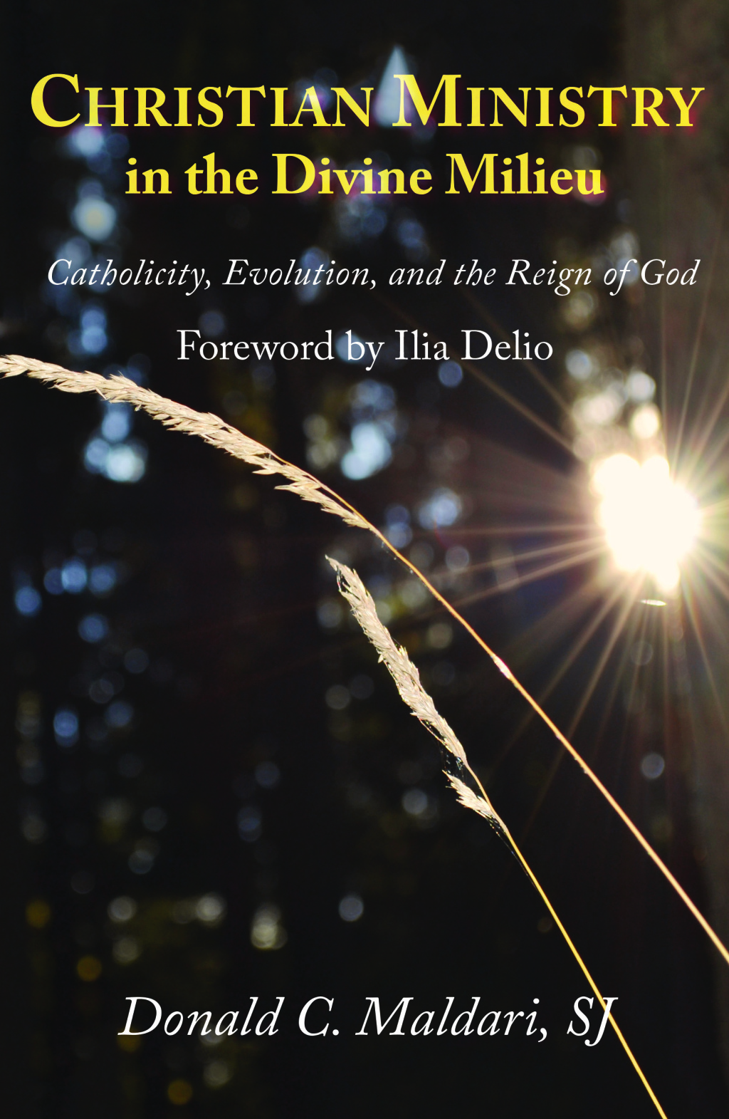 Christian Ministry in the Divine Milieu: Catholicity, Evolution, and the Reign of God