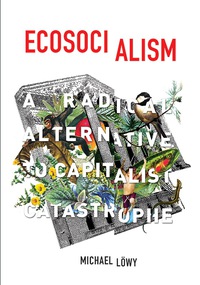 Cover image: Ecosocialism 9781608464715