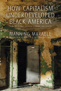 Imagen de portada: How Capitalism Underdeveloped Black America 9781608465118