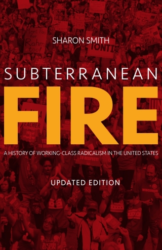 Imagen de portada: Subterranean Fire 9781608469178