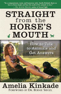 Imagen de portada: Straight from the Horse's Mouth 9781577315063