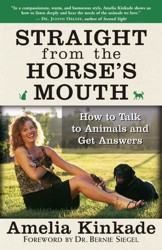 Cover image: Straight from the Horse's Mouth 9781577315063