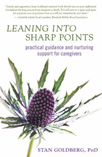 Cover image: Leaning into Sharp Points 9781608680672