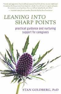 Immagine di copertina: Leaning into Sharp Points 9781608680672