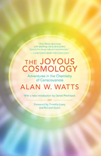 Omslagafbeelding: The Joyous Cosmology 9781608682041