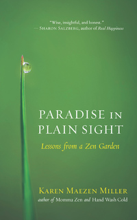 Cover image: Paradise in Plain Sight 9781608682522