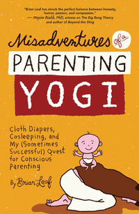 Titelbild: Misadventures of a Parenting Yogi 9781608682676
