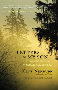 Cover image: Letters to My Son 9781608682805