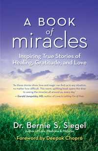 Imagen de portada: A Book of Miracles 9781608683048