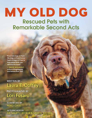 Imagen de portada: My Old Dog 9781608683406