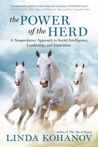Titelbild: The Power of the Herd 9781608683710
