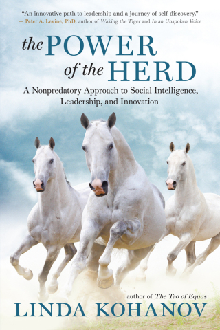 Imagen de portada: The Power of the Herd 9781608683710