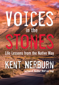 Immagine di copertina: Voices in the Stones 9781608683901